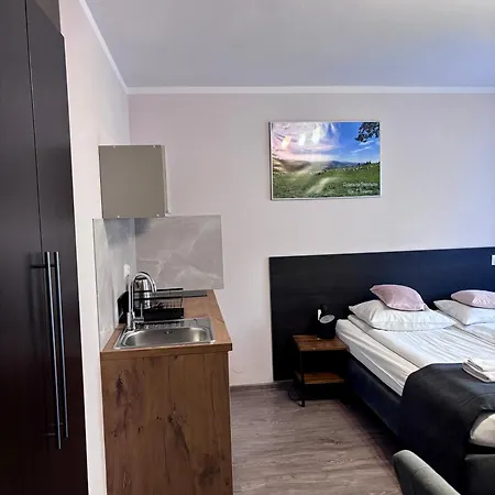 Luiza Homestay *